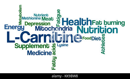 Word cloud su uno sfondo bianco - L-carnitina Foto Stock
