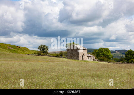 Case e edifici agricoli con muri in pietra a secco nella foresta di Teesdale, Superiore Teesdale, County Durham, Regno Unito Foto Stock