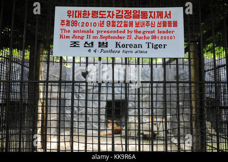 Pjoengjang, Corea del Nord, predator contenitore in Corea Zoo centrale Foto Stock