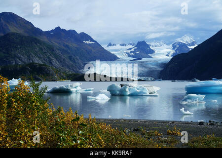 Grewingk lago glaciale, Kenai montagne, Kachemak Bay State Park, Alaska Foto Stock