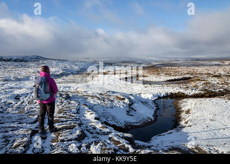 Walker al bianco e la molla su Cronkley cadde in inverno, Superiore Teesdale, County Durham Regno Unito Foto Stock