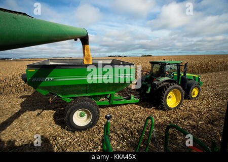 Combinare lo scivolo di scarico nel mais JOHN DEERE TRAMOGGIA IN UTICA, Minnesota. Foto Stock