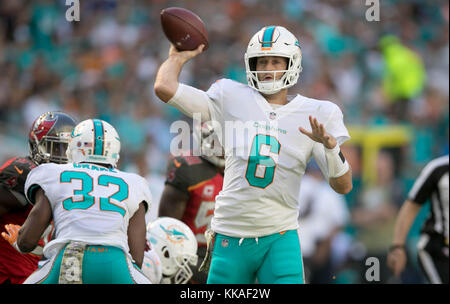 Giardini di Miami, Florida, Stati Uniti d'America. 29 Nov, 2017. Miami Dolphins quarterback Jay Cutler (6) all'Hard Rock Stadium di Miami, in Florida, il 19 novembre 2017. Credito: Allen Eyestone/Palm Beach post/ZUMA filo/Alamy Live News Foto Stock