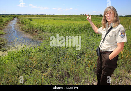 Muscatine, Iowa, Stati Uniti. 8 agosto 2017. Port Louisa National Wildlife Refuge Manager Sally Flatland parla di come l'inondazione di un'area del Port Louisa National Wildlife Refuge aiuta gli uccelli migratori che attraversano in vari periodi dell'anno. Il rifugio è situato lungo il fiume Mississippi Flyway, una delle principali vie di migrazione degli uccelli acquatici. Credit: Kevin E. Schmidt/Quad-City Times/ZUMA Wire/Alamy Live News Foto Stock