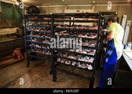 Harpers Ferry, Iowa, Stati Uniti. 29 Agosto 2017. Wyatt Jones controlla un rack di sezioni di pesce su un carrello in preparazione per fumare al mercato del pesce di Mohn situato al 1144 Great River Rd, Harpers Ferry, Iowa. Credit: Kevin E. Schmidt/Quad-City Times/ZUMA Wire/Alamy Live News Foto Stock