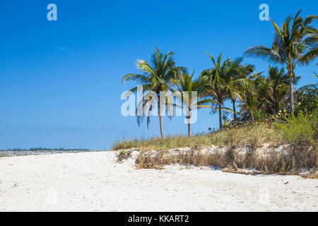 Spiaggia di Cavoli, Paradise Island, a Nassau, Bahamas, West Indies, dei Caraibi e America centrale Foto Stock