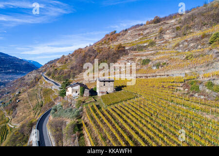 Cantina, terrazzamenti e vigneti in Valtellina Foto Stock