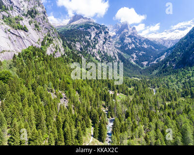 Riserva naturale della Val di Mello - forest Foto Stock