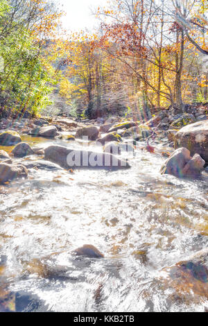 Primo piano della roccia poco profonda con flusso di acqua corrente, pietre e una fluidità creek con svasatura arcobaleno Foto Stock