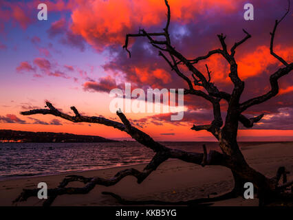 Sunrise mistico sulla spiaggia. i colori di sunrise le nuvole in brillanti colori vivaci a Sandy Hook bay, new jersey Foto Stock