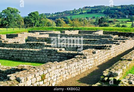 Chesters Cilurnum periodo Romano fortilizio militare. Sostanziale rimane vicino a Hexham il vallo di Adriano. Northumberland, England, Regno Unito Foto Stock