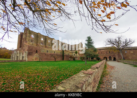 Abbazia di San Galgano (Italia) - un vecchio cistercense monastero cattolico in una valle isolata della provincia di siena, Regione Toscana. il tetto è crollato dopo Foto Stock