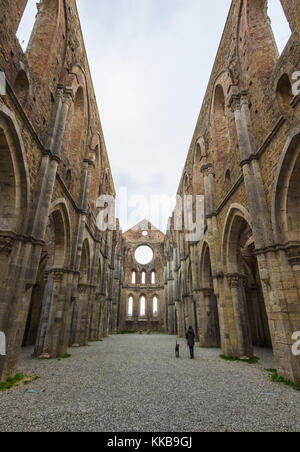 Abbazia di San Galgano (Italia) - un vecchio cistercense monastero cattolico in una valle isolata della provincia di siena, Regione Toscana. il tetto è crollato dopo Foto Stock