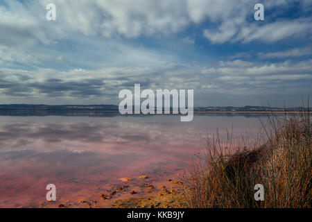 Una vista pittoresca del las salinas. lago salato di torrevieja, considerata una delle più salutari in Europa, secondo l'Organizzazione mondiale della sanità. provin Foto Stock