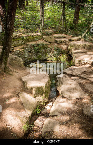 Fontana della giovinezza, foresta di paimpont, Bretagna, in Francia, in Europa. Foto Stock