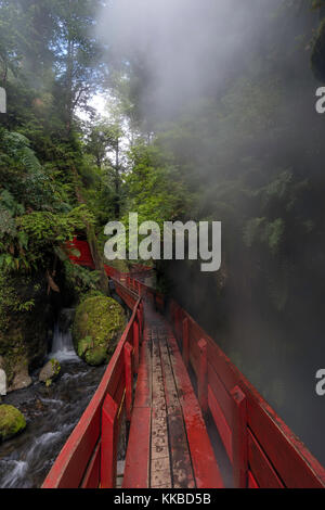 Camminando per le sfilate di moda tra le sorgenti calde piscine di Termas Geometricas, vicino a Pucon, Cile Foto Stock