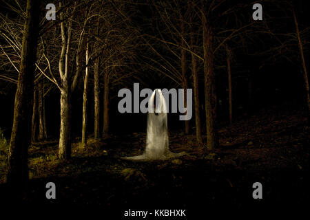 Foto di un fantasma in mezzo alla foresta con il buio totale e realizzate utilizzando la tecnica di lightpainting Foto Stock