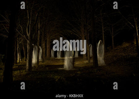 Immagine di un gruppo di fantasmi in mezzo alla foresta con il buio totale e realizzati con la tecnica di lightpainting Foto Stock