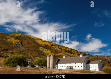 McPolin fienile in autunno, Park City, Utah Foto Stock