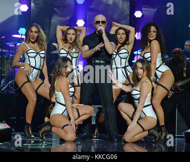 MIAMI, FL - NOVEMBRE 07: Pitbull suona sul palco a iHeartradio Fiesta Latina presso l'American Airlines Arena il 7 novembre 2015 a Miami, Florida. Persone: Pitbull Foto Stock