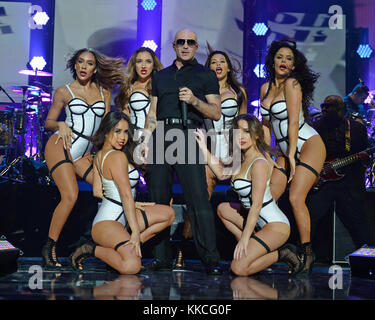 MIAMI, FL - NOVEMBRE 07: Pitbull suona sul palco a iHeartradio Fiesta Latina presso l'American Airlines Arena il 7 novembre 2015 a Miami, Florida. Persone: Pitbull Foto Stock