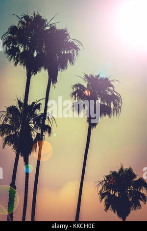 Vintage stilizzata palme estate i colori del tramonto e lens flare Foto Stock