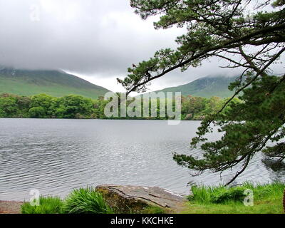 Il Lough pollacappul vicino kylemore abbey, co Galway, Irlanda Foto Stock