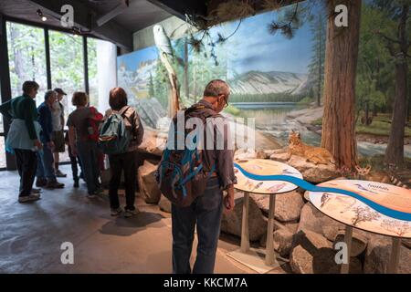 Un turista maschile che indossa uno zaino guarda una mostra educativa nel centro visitatori del Parco Nazionale di Yosemite, mentre un gruppo di turisti maturi si trova sullo sfondo, Yosemite Valley, California, 2016. Foto Stock