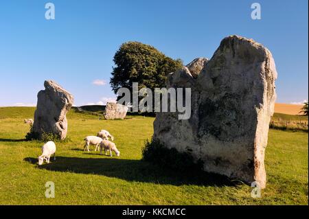 Ad Avebury henge neolitica e circoli di pietre, Wiltshire, Inghilterra. 5600 anni. I megaliti nel quadrante SE