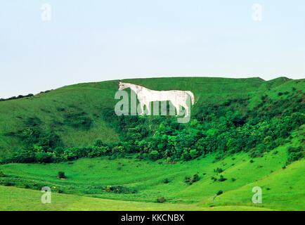 Westbury white horse chalk hill figura sotto bratton camp età del ferro hill fort sul bordo di bratton downs, Wiltshire, Inghilterra Foto Stock