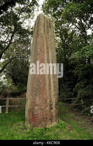 I diavoli frecce, boroughbridge, North Yorkshire, Inghilterra. il più meridionale dei tre monoliti preistorici Foto Stock