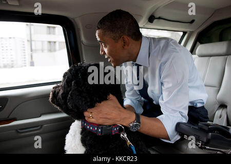 Dec. 21, 2011 "Il presidente e bo, Obama cane di famiglia, la corsa alle elezioni presidenziali per il giro della Papamobile in rotta per petsmart in Alexandria, VA. Il presidente ha acquistato bo alcuni regali di Natale presso il pet store poi sono andato vicino a best buy per acquistare regali per le sue figlie. Foto Stock