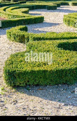 Vista parziale di bosso rifilato in forma di Fleur de Lis in un francese giardino formale. Foto Stock