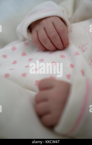 Le mani del neonato. DOF. Foto Stock