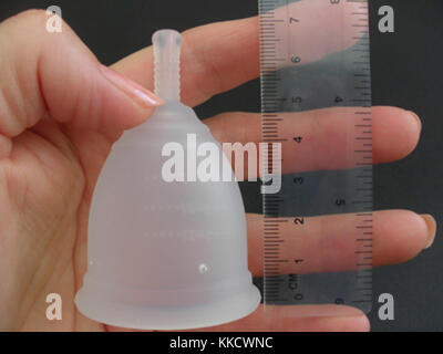 Fotocamere digitali Olympus Rubycupinhand Foto Stock