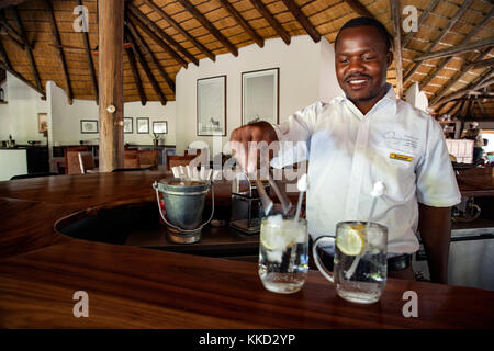 Il barista a etosha aoba lodge, onguma Game Reserve, Namibia, Africa Foto Stock