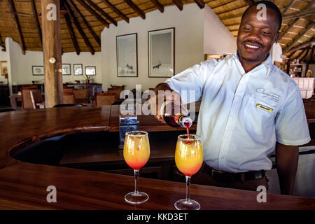 Il barista a etosha aoba lodge, onguma Game Reserve, Namibia, Africa Foto Stock