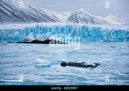 Monaco ghiacciaio delle isole Svalbard (Spitsbergen) in alta artico. Il ghiacciaio è chiamato dopo il Principe Alberto II di Monacco la spedizione Spitsb Foto Stock