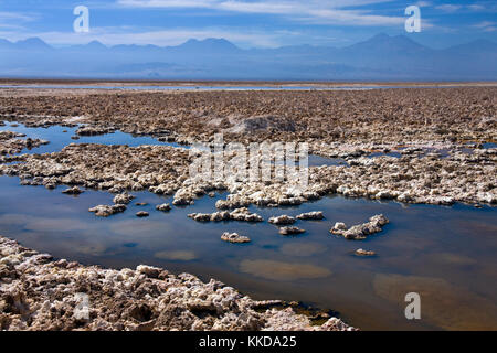 Piscine di acqua salata sull'Atacama Saline nel deserto di Atacama nel Cile settentrionale. Foto Stock