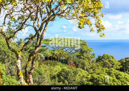 Giardino di eden vista orizzontale a Maui alle Hawaii Foto Stock