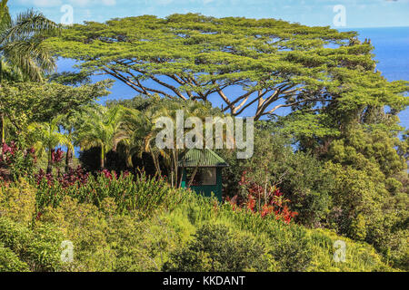 Giardino di eden vista orizzontale a Maui alle Hawaii Foto Stock