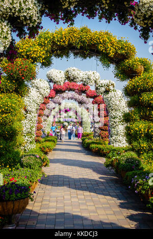 Dubai, UAE, 22 gennaio 2016: miracolo garden è una delle principali attrazioni turistiche in Dubai Emirati arabi uniti Foto Stock