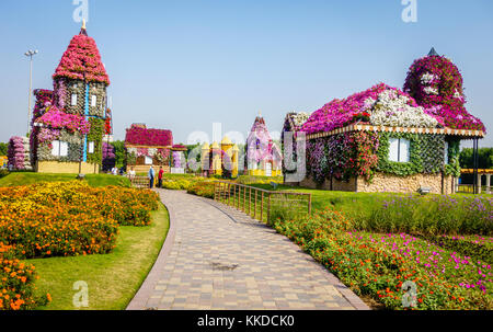 Dubai, UAE, 22 gennaio 2016: miracolo garden è una delle principali attrazioni turistiche in Dubai Emirati arabi uniti Foto Stock