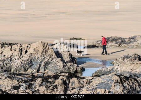 Cane che cammina su Fistral Beach - un uomo che indossa una giacca rosso brillante che cammina il suo cane sulla spiaggia di Fistral Newquay Cornwall UK. Foto Stock