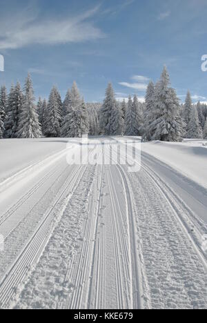 Piste da sci e la strada innevata attraverso il bosco di abete rosso con tracce di motoslitte in una luminosa giornata invernale Foto Stock