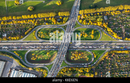 Autobahnkreuz Kleeblatt, A40 e A59 a rush, ingorghi sulla A40 vicino a Duisburg, giardini di assegnazione, associazione di aggiudicazione KGV Neuland, Kleinga Foto Stock