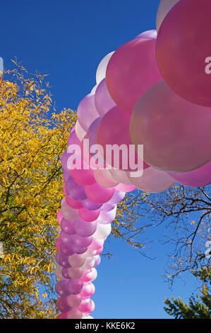 Rosa viola e bianco arco di palloncino con foglie di giallo e blu sullo sfondo del cielo Foto Stock