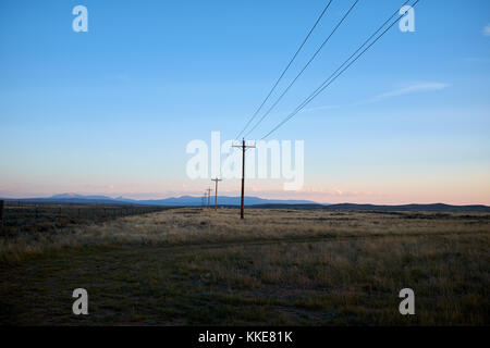 Linea di pali dell'elettricità in un paesaggio di colorado al tramonto in un receding vista sui prati con montagne in lontananza Foto Stock