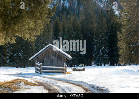 Piccolo chalet invernali in alberi innevati Foto Stock