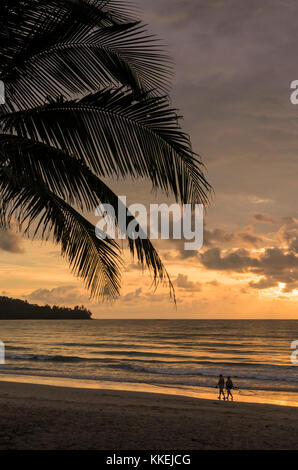 Palm tree silhouette e giovane camminando lungo la spiaggia al tramonto , Kamala Beach, Phuket, Tailandia Foto Stock